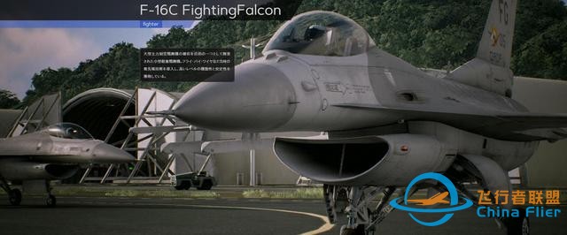 《皇牌空戰7：未知空域》全飛機圖鑒-7411