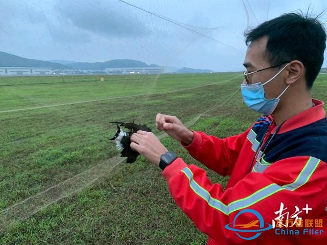 保障航空器飛行安全，珠海機場探索“智慧 生態”驅鳥方式-2615