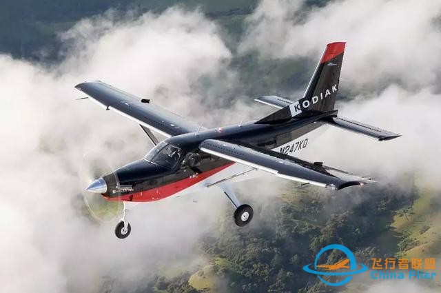 探尋Kodiak 100的多用途基因-6230