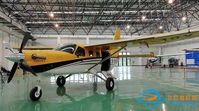 探尋Kodiak 100的多用途基因-8946