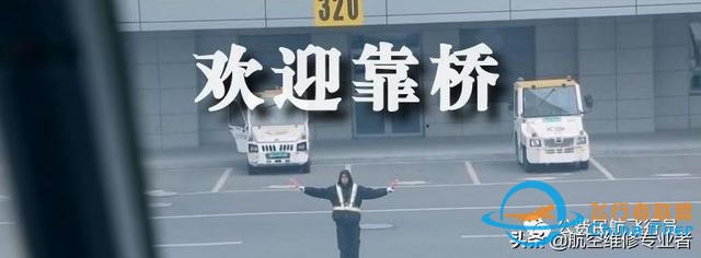 我是這樣開飛機(jī)的，一舉一動(dòng)全部給你看清-7054