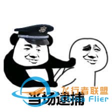 這也太剛了！為讓飛行模擬更真實(shí)，開發(fā)者購買戰(zhàn)斗機(jī)說明書遭逮捕-3081