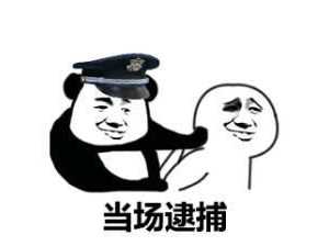 這也太剛了！為讓飛行模擬更真實(shí)，開發(fā)者購買戰(zhàn)斗機(jī)說明書遭逮捕