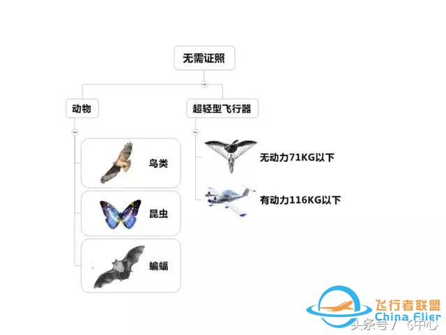 簡單易懂的適航知識 飛行小白看過來-683