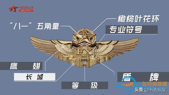 科普飛行員胸前標識的“玄機”？細節滿滿！知識滿滿-1713