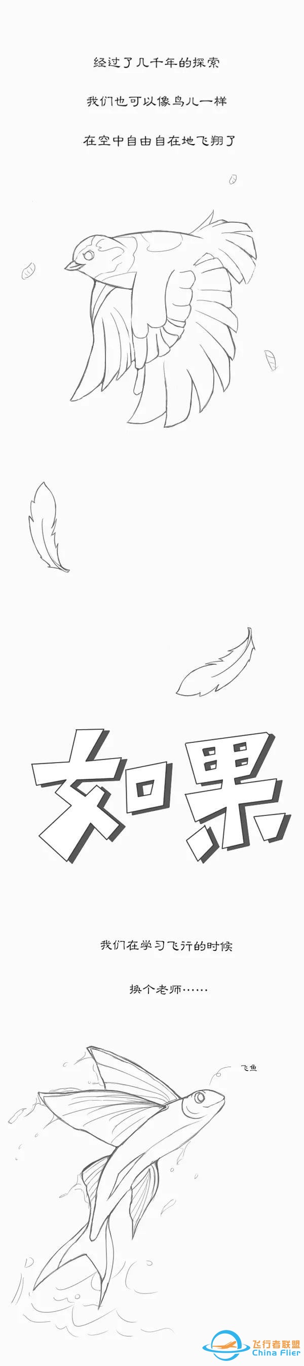 用漫畫講航空，那些年我們一起學習鳥類飛行的日子……-6982