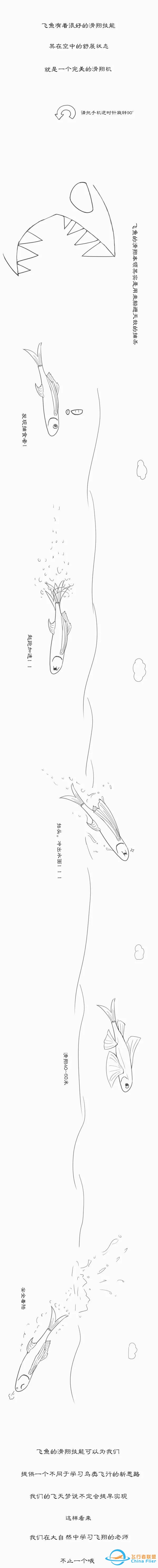 用漫畫講航空，那些年我們一起學習鳥類飛行的日子……-2850