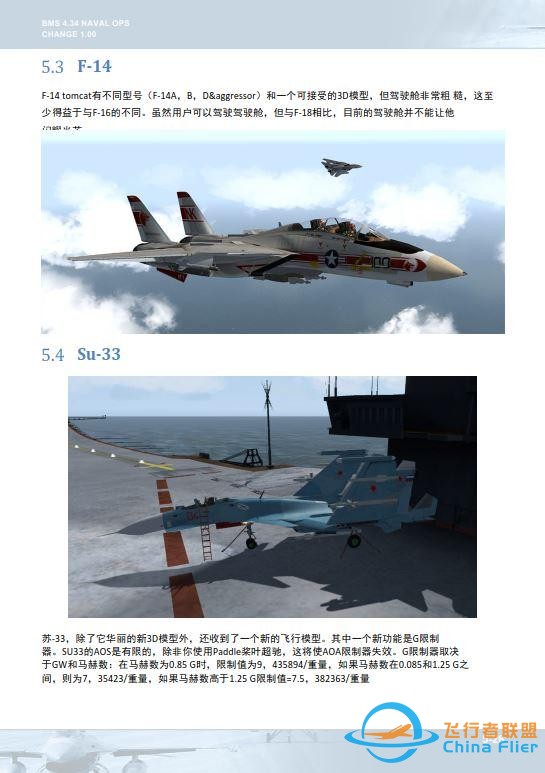 模擬飛行 BMS 中文手冊(cè) 海上行動(dòng) 5.2自動(dòng)油門-9649