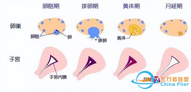 女航天員去太空時，為何要吃避孕藥？在飛船中到底會發(fā)生什么？-8292