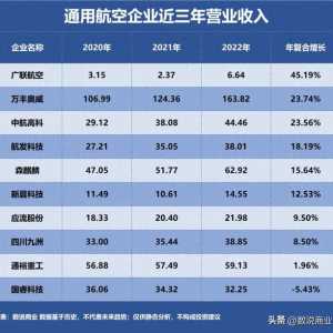 通用航空，誰是成長最快企業？